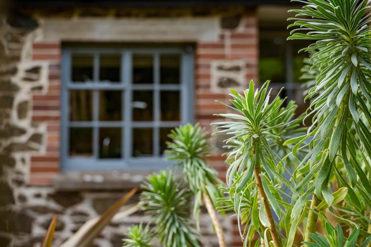 The Stables - Charming 15Th-Century Rural Bolthole Apartment นิวตันแอบบ็อต ภายนอก รูปภาพ